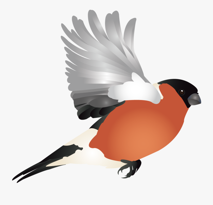 Finch Hummingbird Woodpecker Illustration - Finches, Transparent Clipart