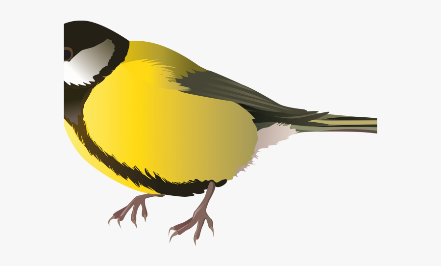 Transparent Background Clipart Birds, Transparent Clipart
