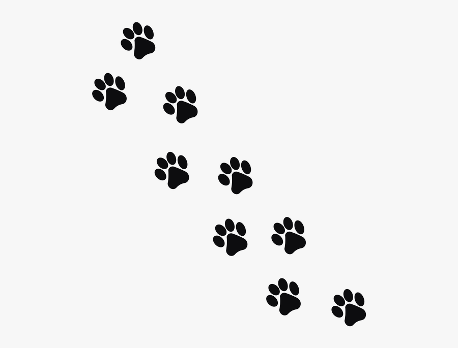 Transparent Cat Paw Png - Paw Prints Transparent Background , Free