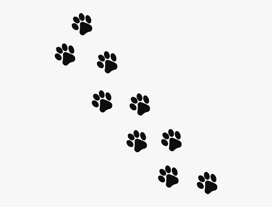 Transparent Cat Paw Png - Paw Prints Transparent Background, Transparent Clipart