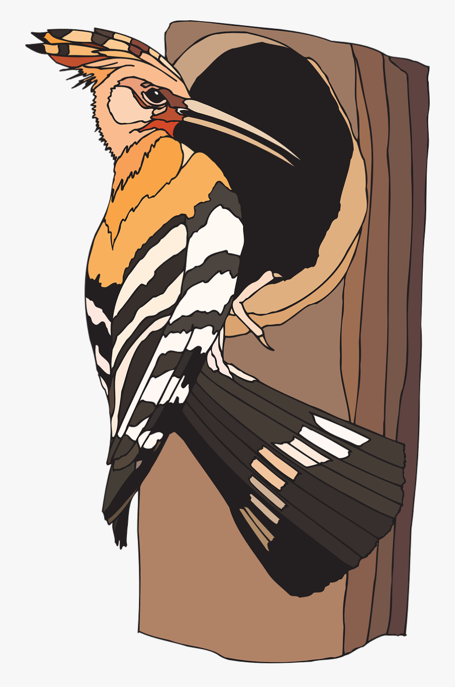Clipart Images Of Woodpecker, Transparent Clipart