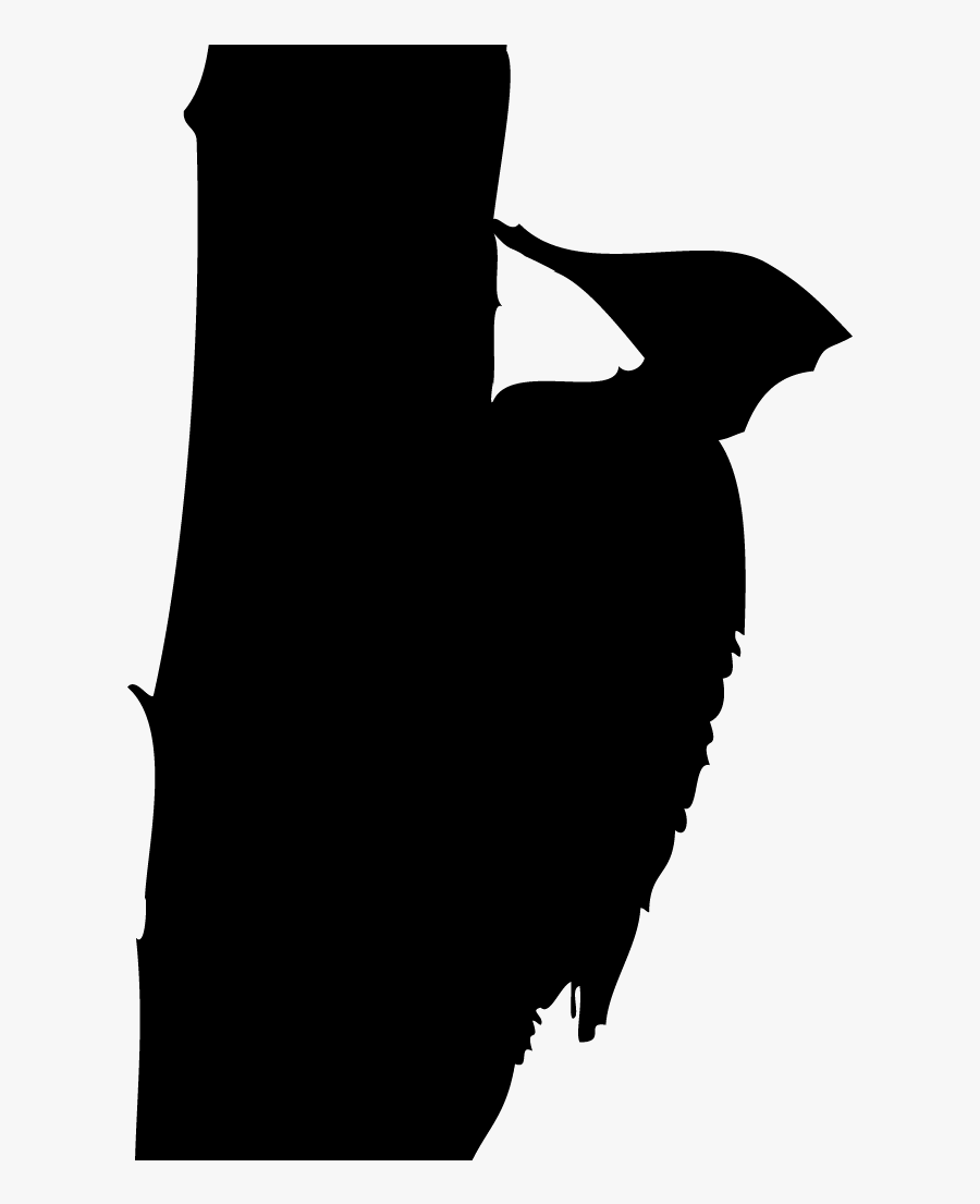 Transparent Woodpecker Png - Illustration, Transparent Clipart