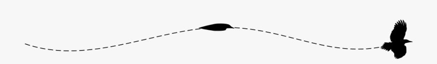 Filepileated Woodpecker Mirrored Flying Pattern - Woodpecker Flight Pattern, Transparent Clipart