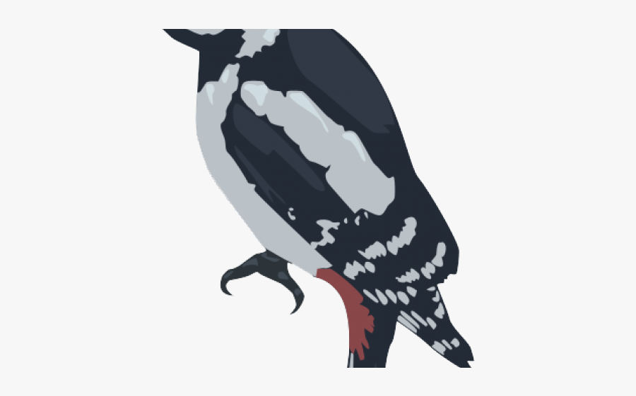Woodpecker Png Transparent Images - Adã©lie Penguin, Transparent Clipart