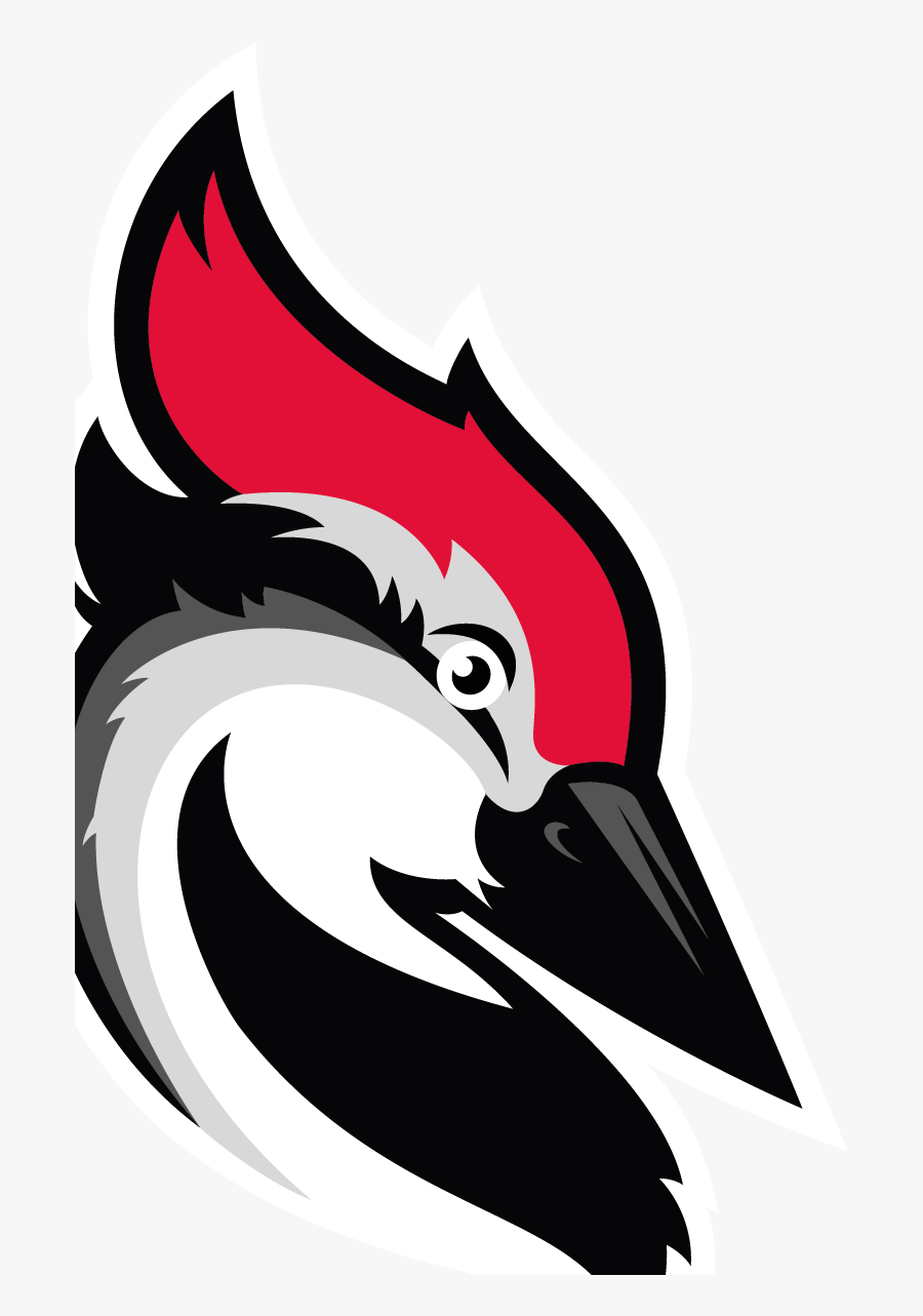 Woodpecker Cold Email, Transparent Clipart