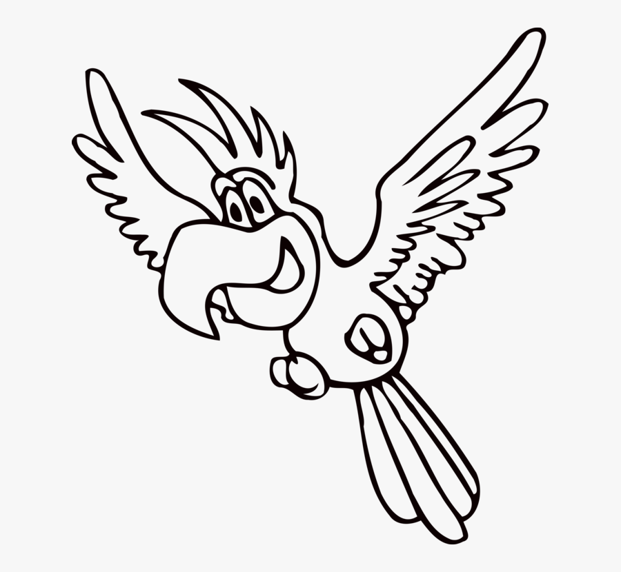 Amazon Parrot Beak Drawing Coloring Book Bird Cc0 - Parrot Flying Clipart Black And White, Transparent Clipart