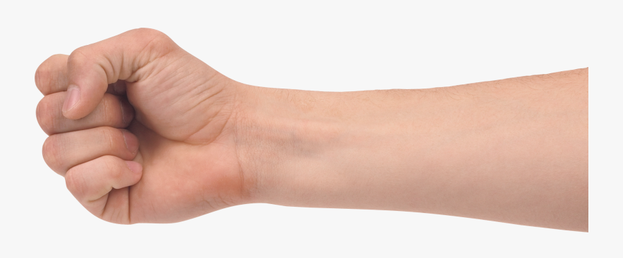 Hand Png, Transparent Clipart