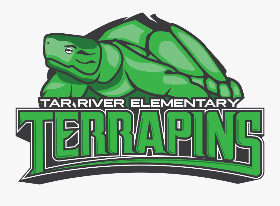 Iguana, Transparent Clipart