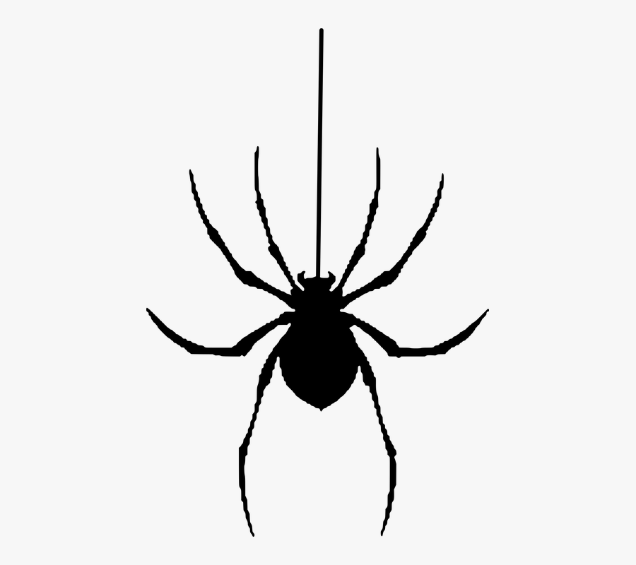 Spider, Silhouette, Halloween, Insect - Spider Silhouette, Transparent Clipart