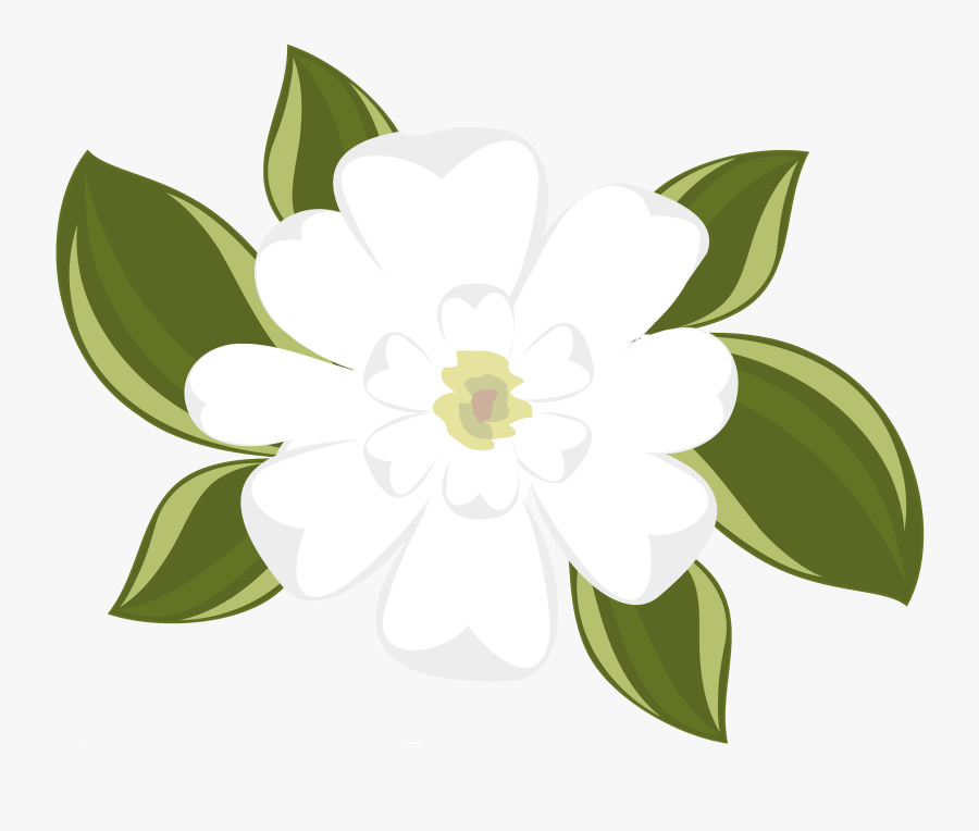 Magnolia No Background - Magnolia Clipart, Transparent Clipart