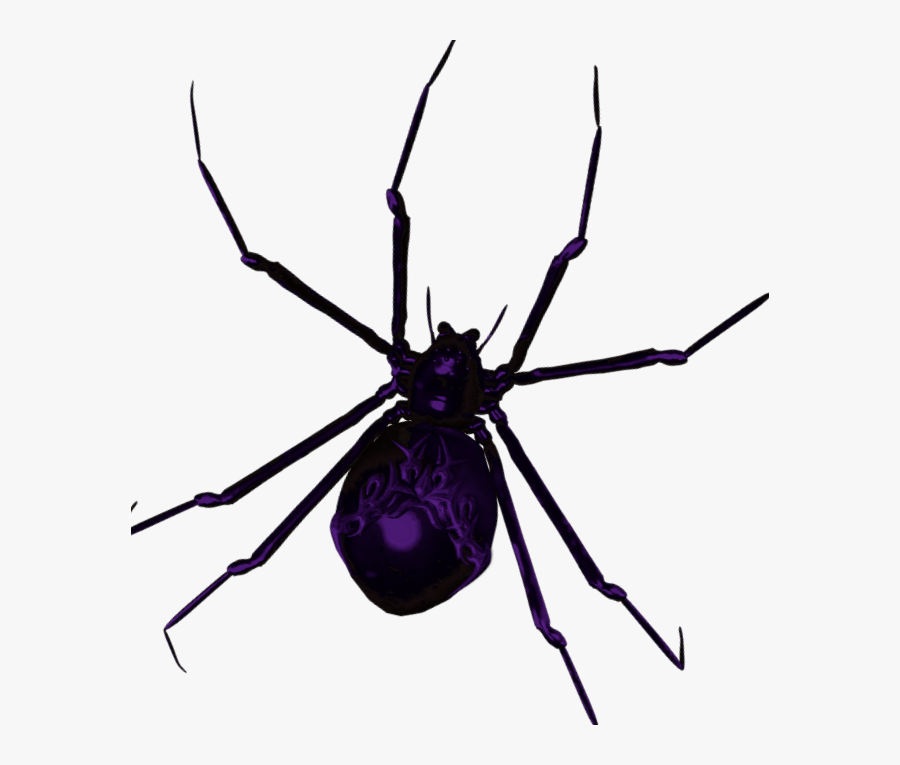 Spider Clipart Stx - Portable Network Graphics, Transparent Clipart