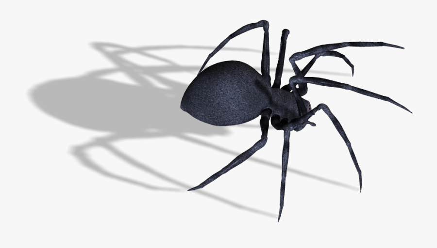 Transparent Background Png Spider, Transparent Clipart