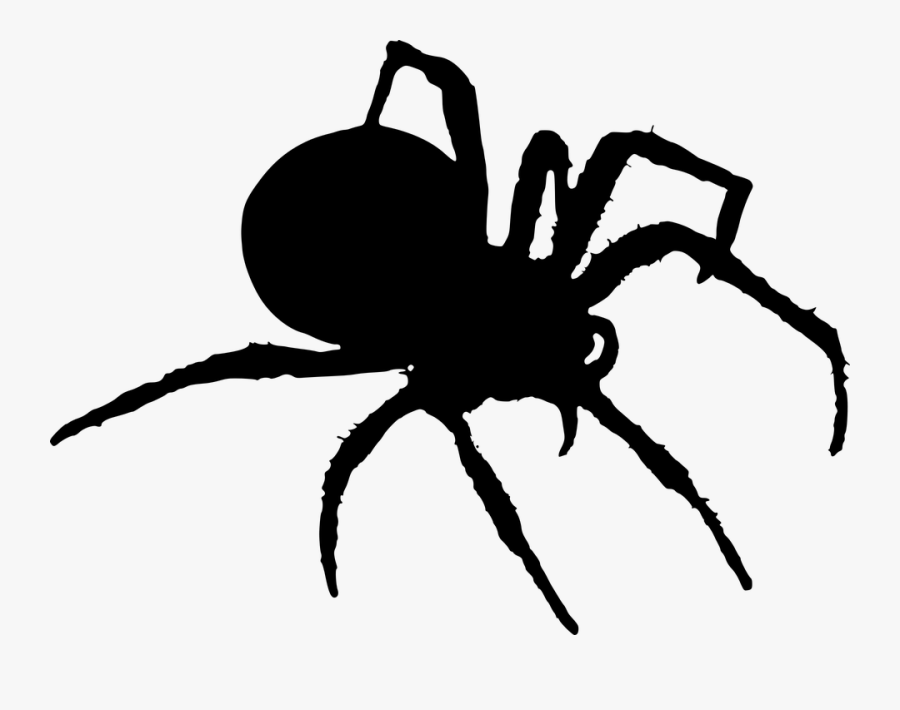 Free Photo Insects Halloween - Spider Silhouette Png, Transparent Clipart