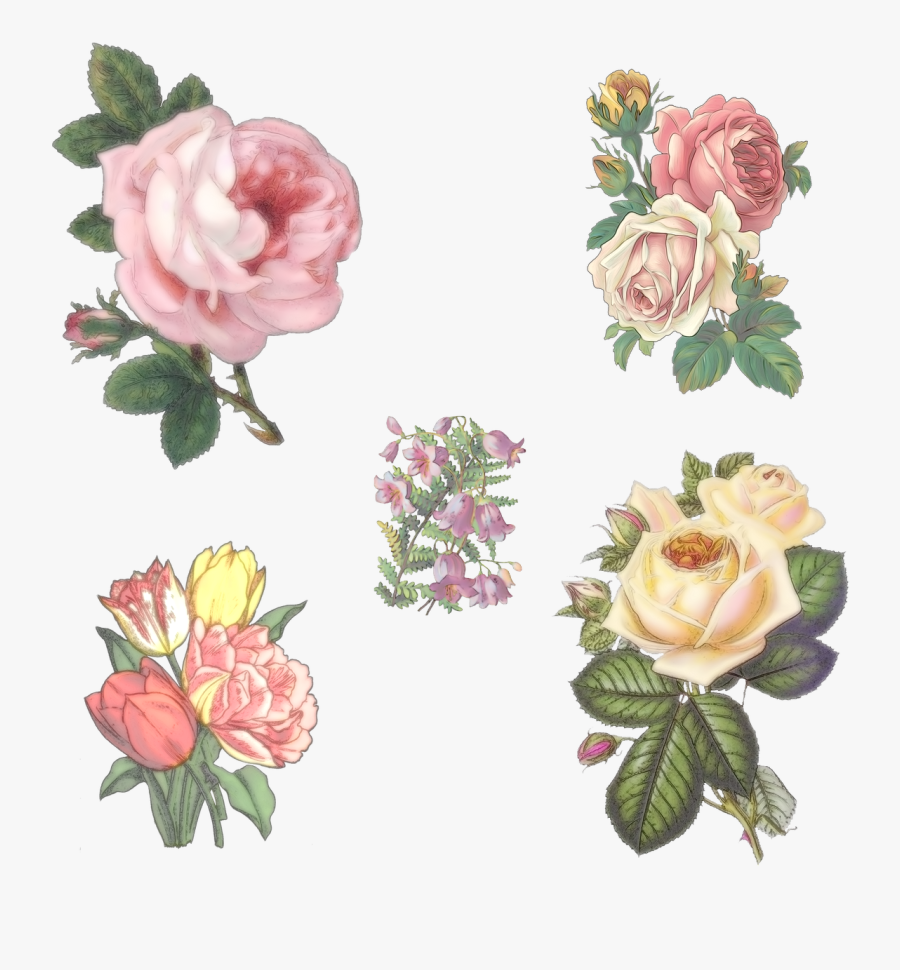 5 Vintage Flowers By Victorian-lady - Has A Bee Ever Landed On You, Transparent Clipart
