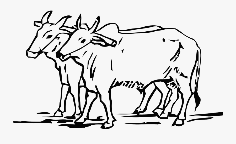File Election Two Oxen - Congress Symbol In 1952, Transparent Clipart