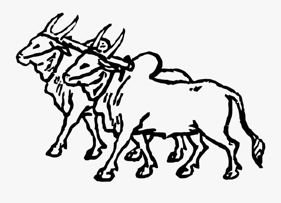 Oxen Drawing At Getdrawings - Bullock Images For Drawing, Transparent Clipart