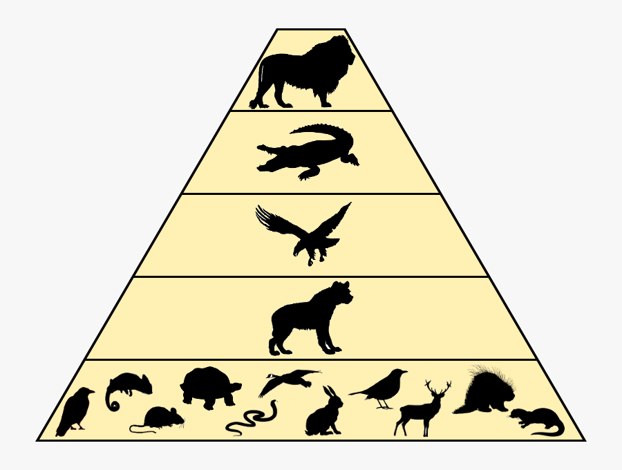 Food Chain - Silhouette - Silhouette, Transparent Clipart