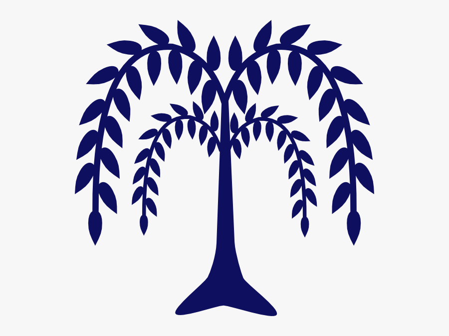 Drawing Of Weeping Willow Tree, Transparent Clipart