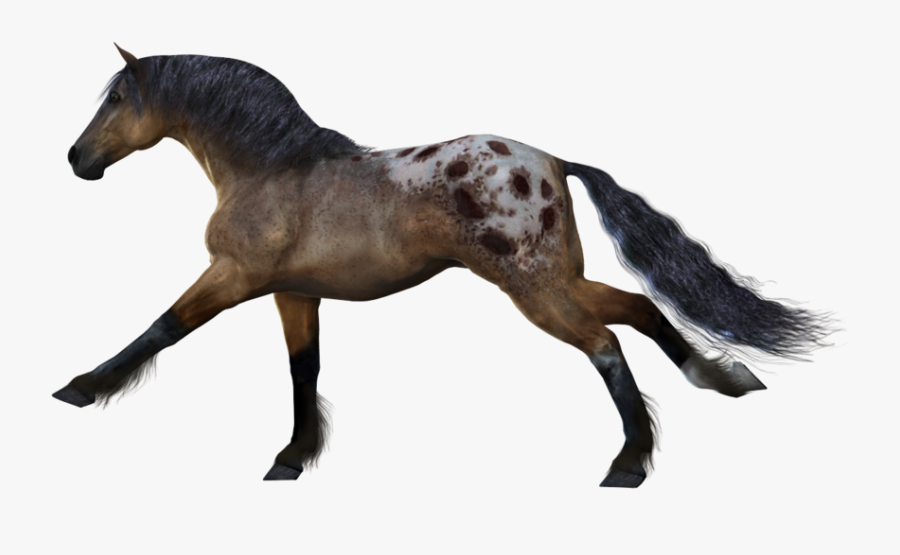 Horse Running No Background, Transparent Clipart