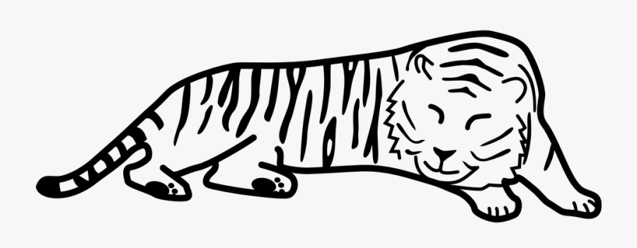 Free Vector Graphic - Black And White Tiger Clipart, Transparent Clipart