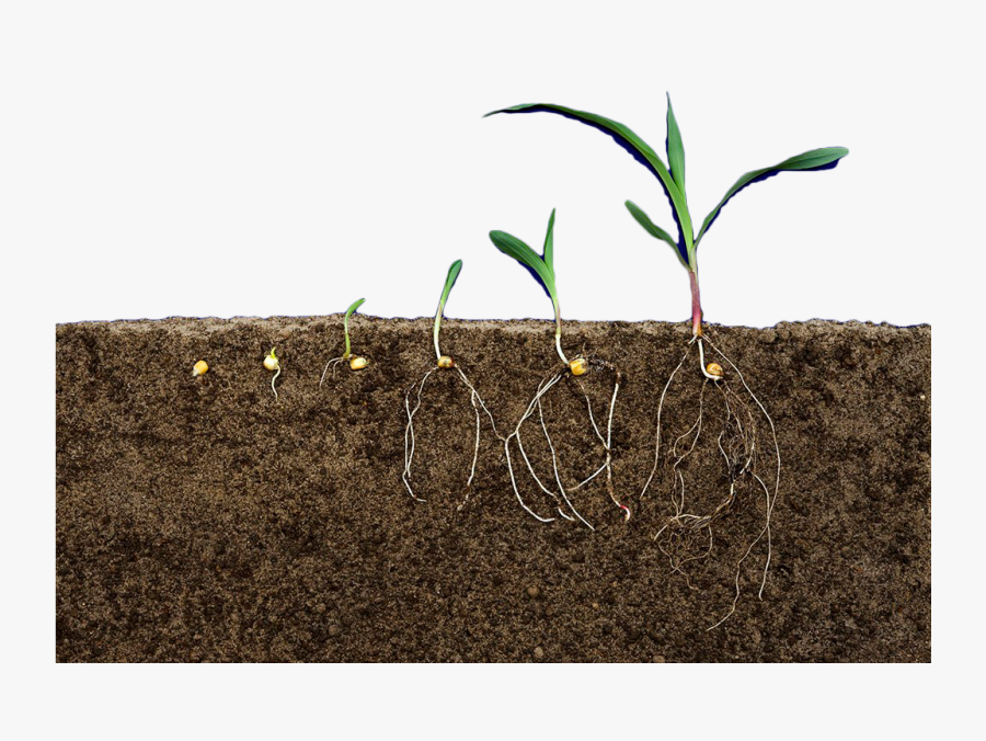 Transparent Soil Layers Clipart - Soil, Transparent Clipart