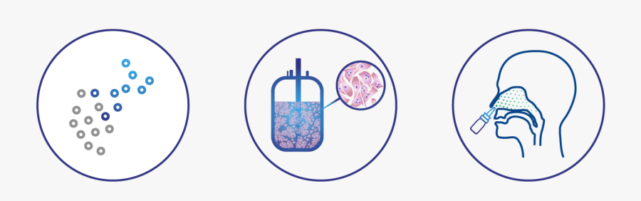 Circle, Transparent Clipart