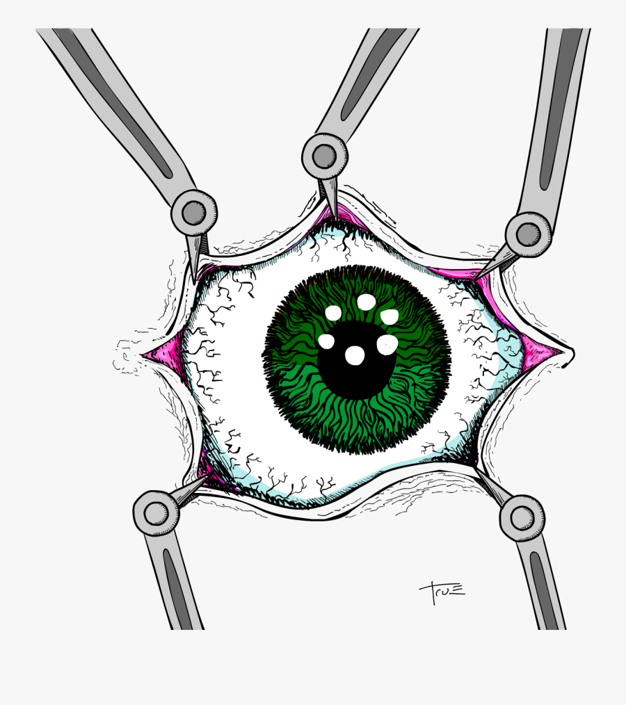 Circle, Transparent Clipart