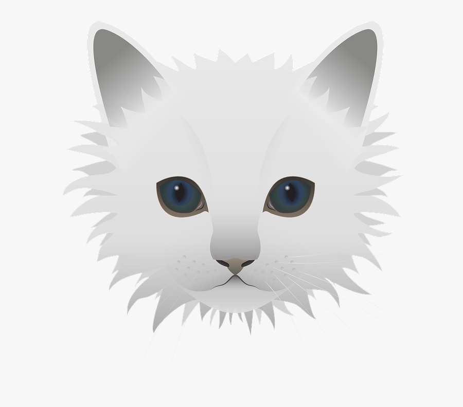 Mắt Con Mèo Trắng, Transparent Clipart