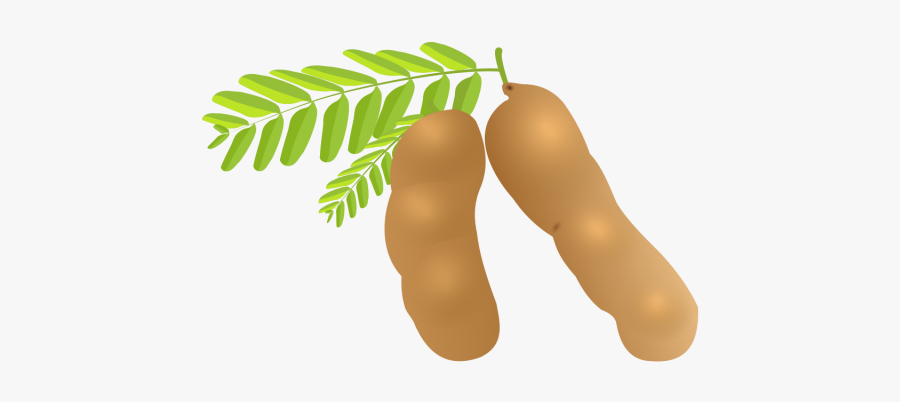 Clipart Tamarind, Transparent Clipart