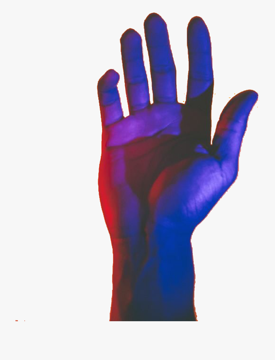 Red Polyvore Moodboard Filler - Photography, Transparent Clipart