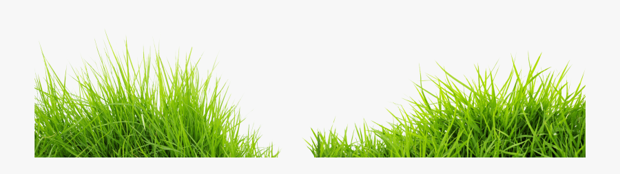 Clip Art Free Photo Nature Outdoor - Grass Png, Transparent Clipart