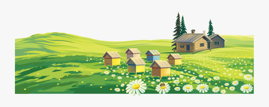 Transparent Green Grass Clipart - Bee Farm Cartoon, Transparent Clipart