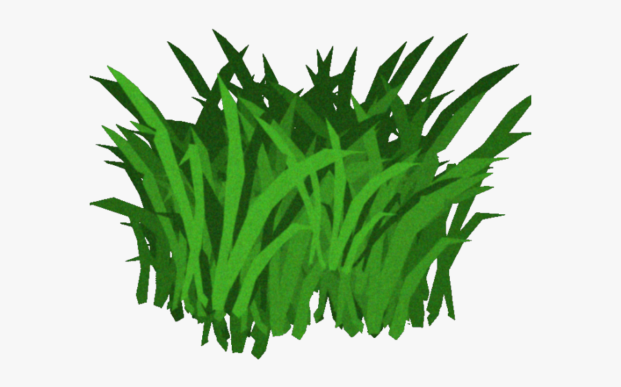 Kelp Clipart Transparent Background, Transparent Clipart
