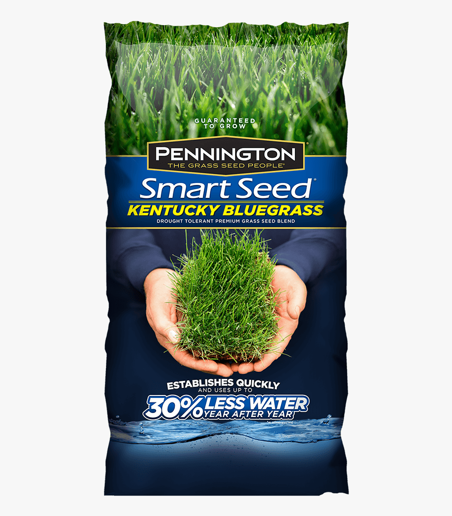 Sea Grass Clipart Wild Grass - Menards Kentucky Bluegrass Seed, Transparent Clipart