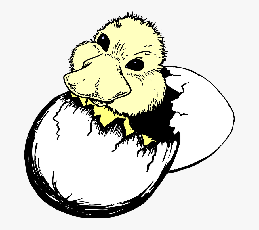 Baby Bird Hatching From Egg Transparent - Duck Egg Clipart Png, Transparent Clipart