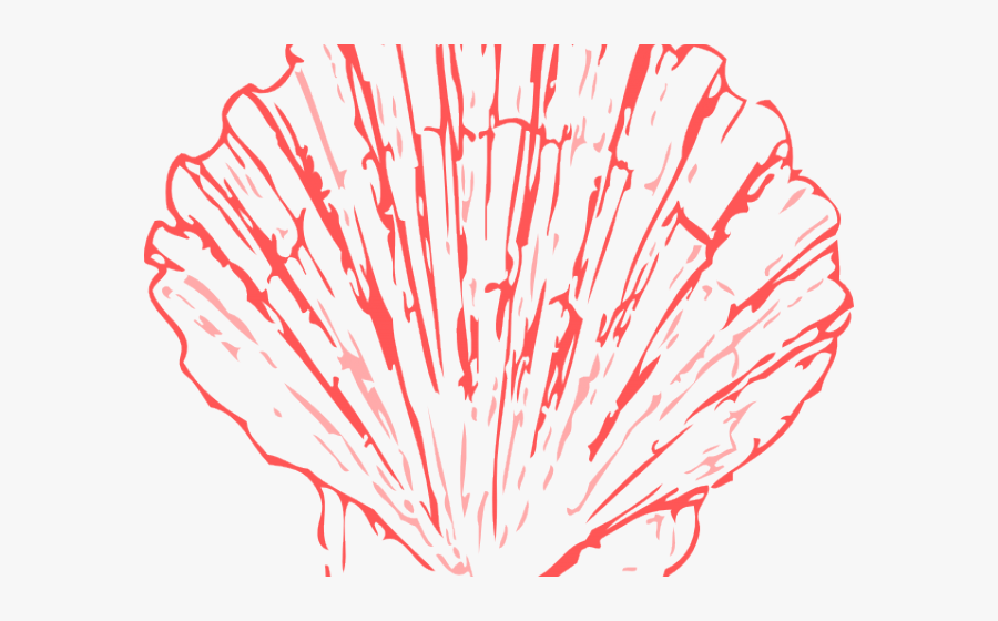 Coral Clipart Clip Art - Scallop Clip Art, Transparent Clipart
