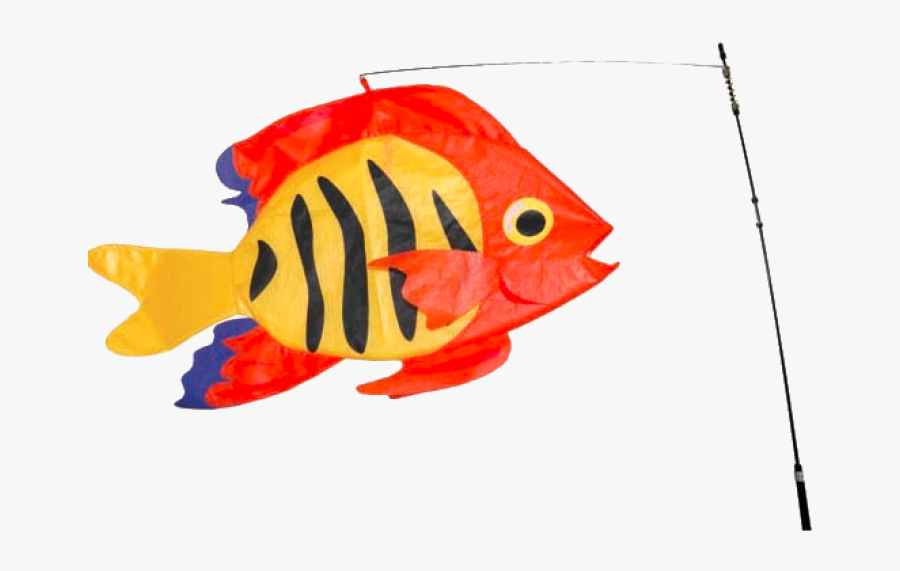 Fish Swimming Png - Fish, Transparent Clipart