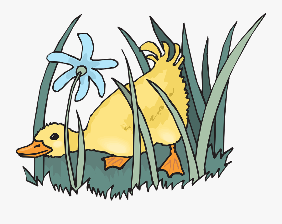 Duckling, Baby, Bird, Spring, Flowers, Plants, Garden, Transparent Clipart