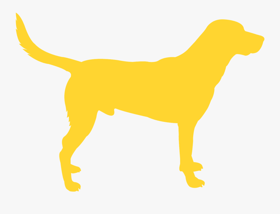 Dog, Transparent Clipart