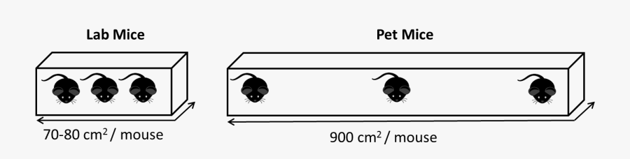Figuras Geometricas, Transparent Clipart