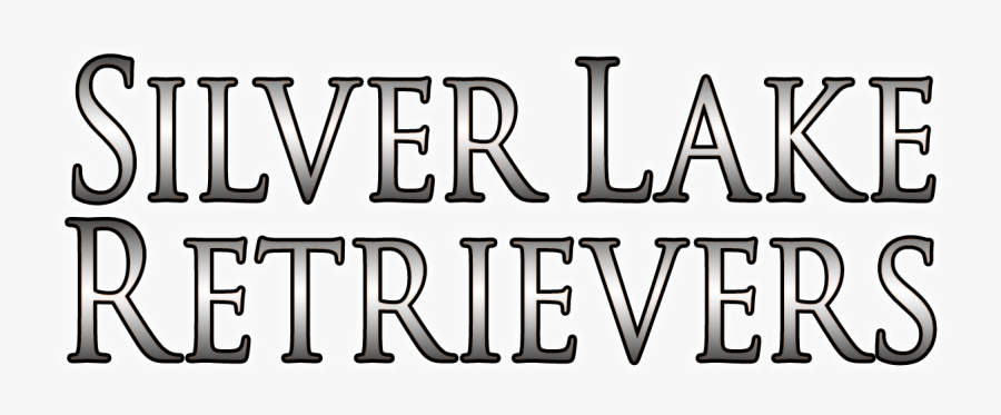Silver Lab Cliparts, Transparent Clipart