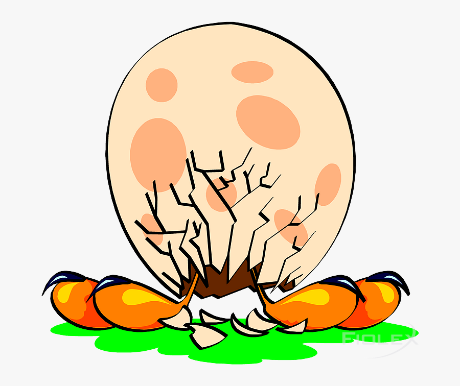 Clip Art, Transparent Clipart