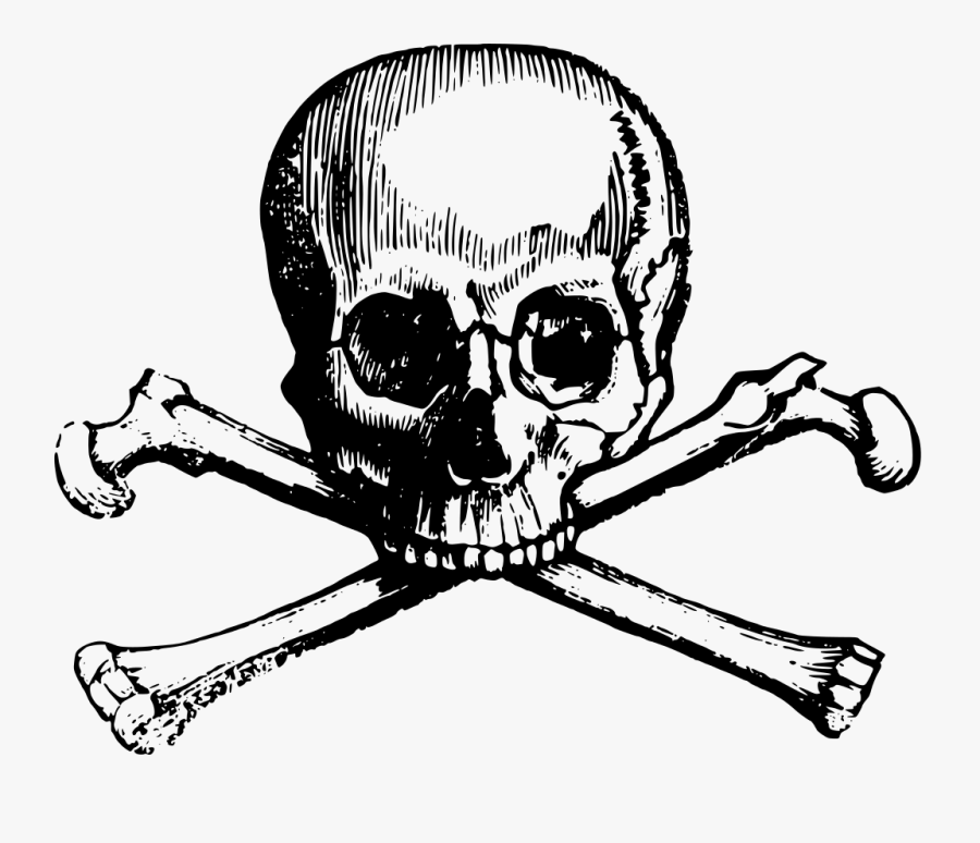 Transparent Pirate Flag Png - Skull And Cross Bones Clipart, Transparent Clipart