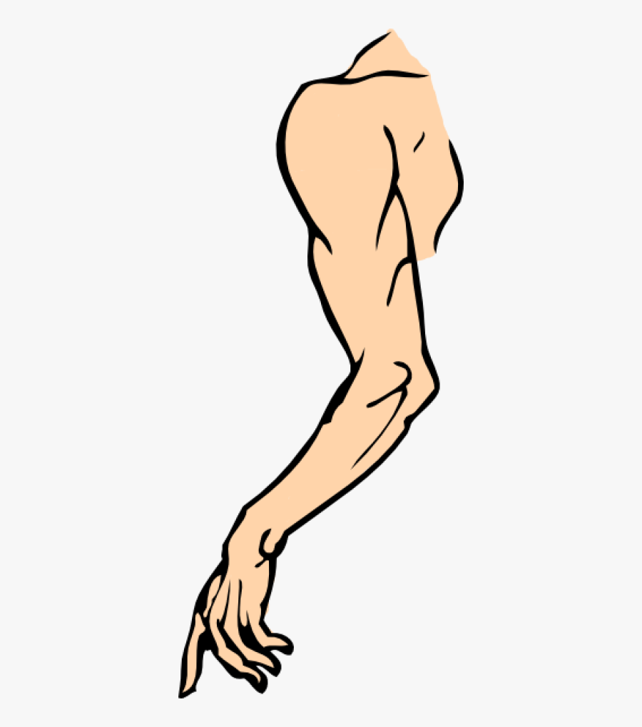 Shoulder Clipart, Transparent Clipart