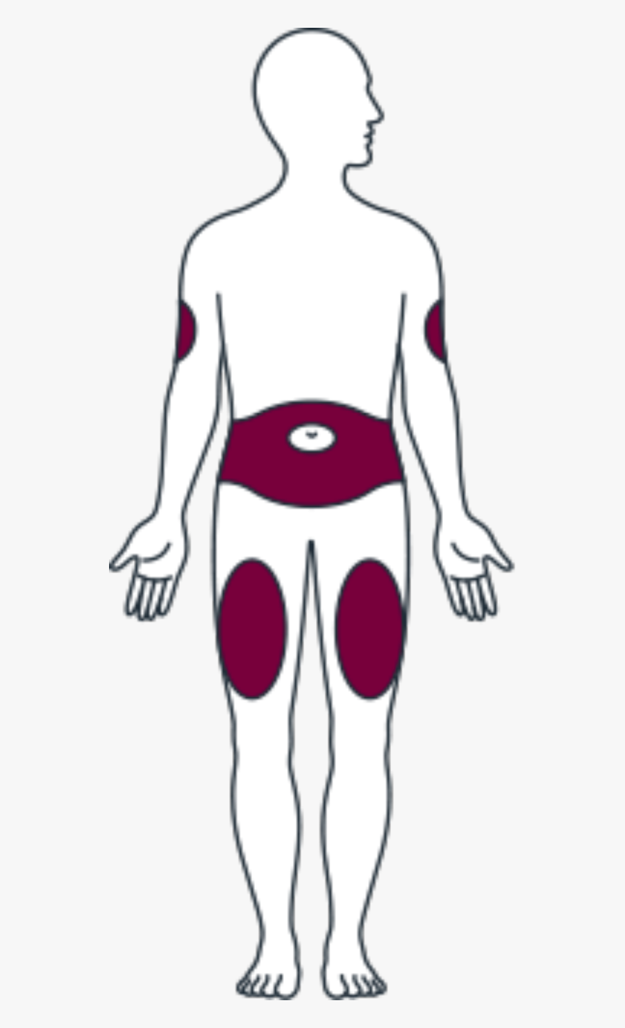 Front Side Appropriate Injection - Insulin Clip Art, Transparent Clipart