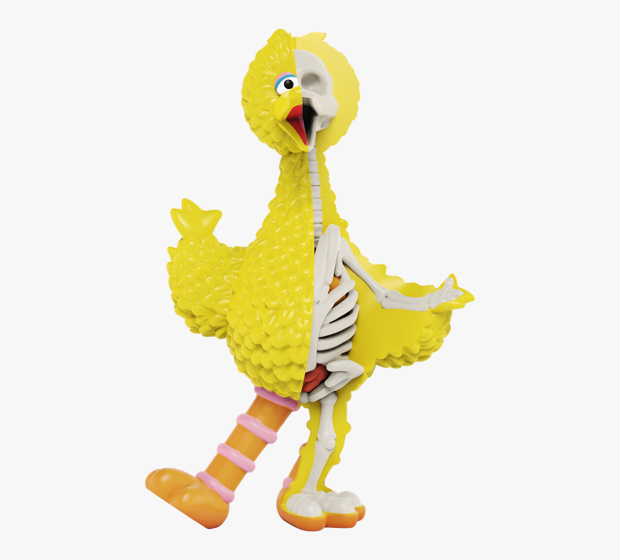 Big Bird, Transparent Clipart