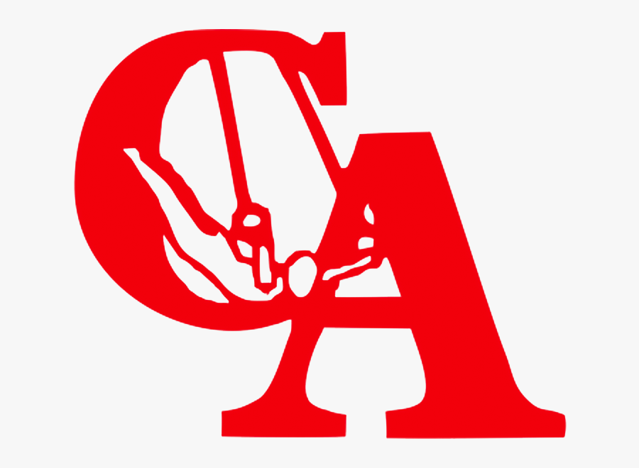 C A Gymnastics Florida, Transparent Clipart