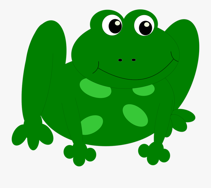 Frog Clipart Head - Bufo, Transparent Clipart