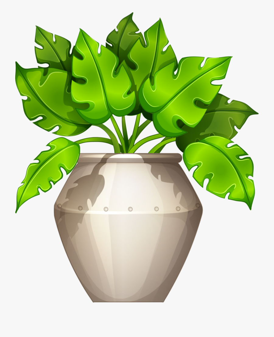 Pianta Vettoriale, Transparent Clipart