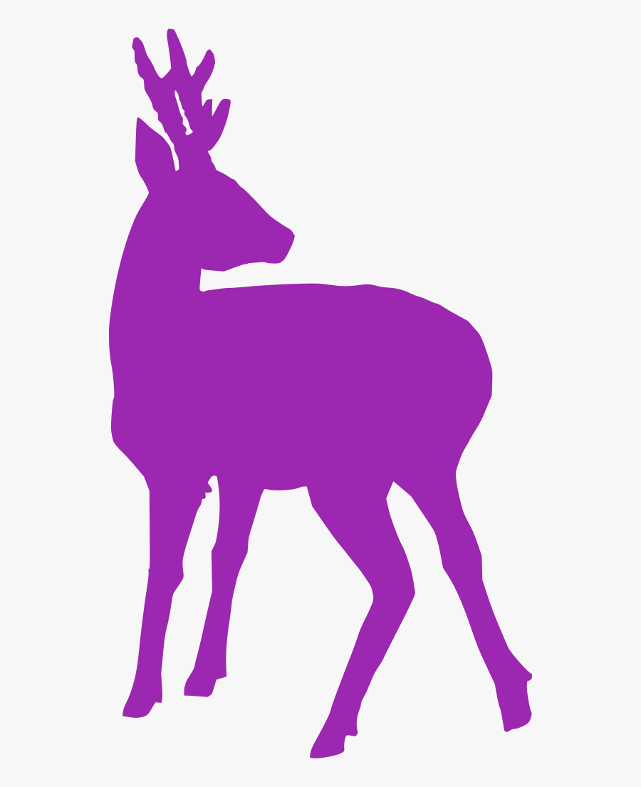 Clip Free Stock Deer Fawn Free Image Icon Silh Info - Scalable Vector Graphics, Transparent Clipart